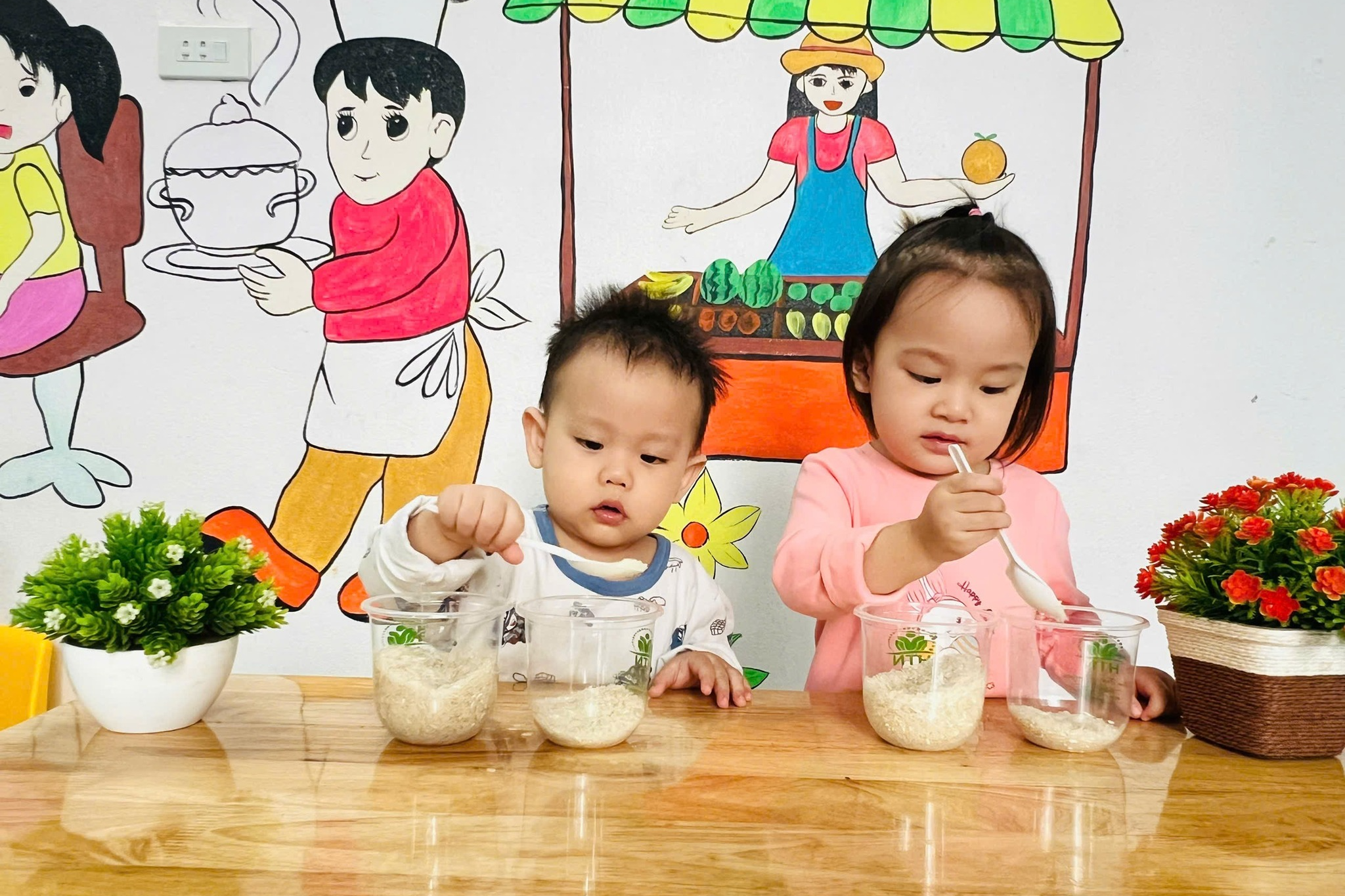 dich-vu-mua-ho-conmeobeo