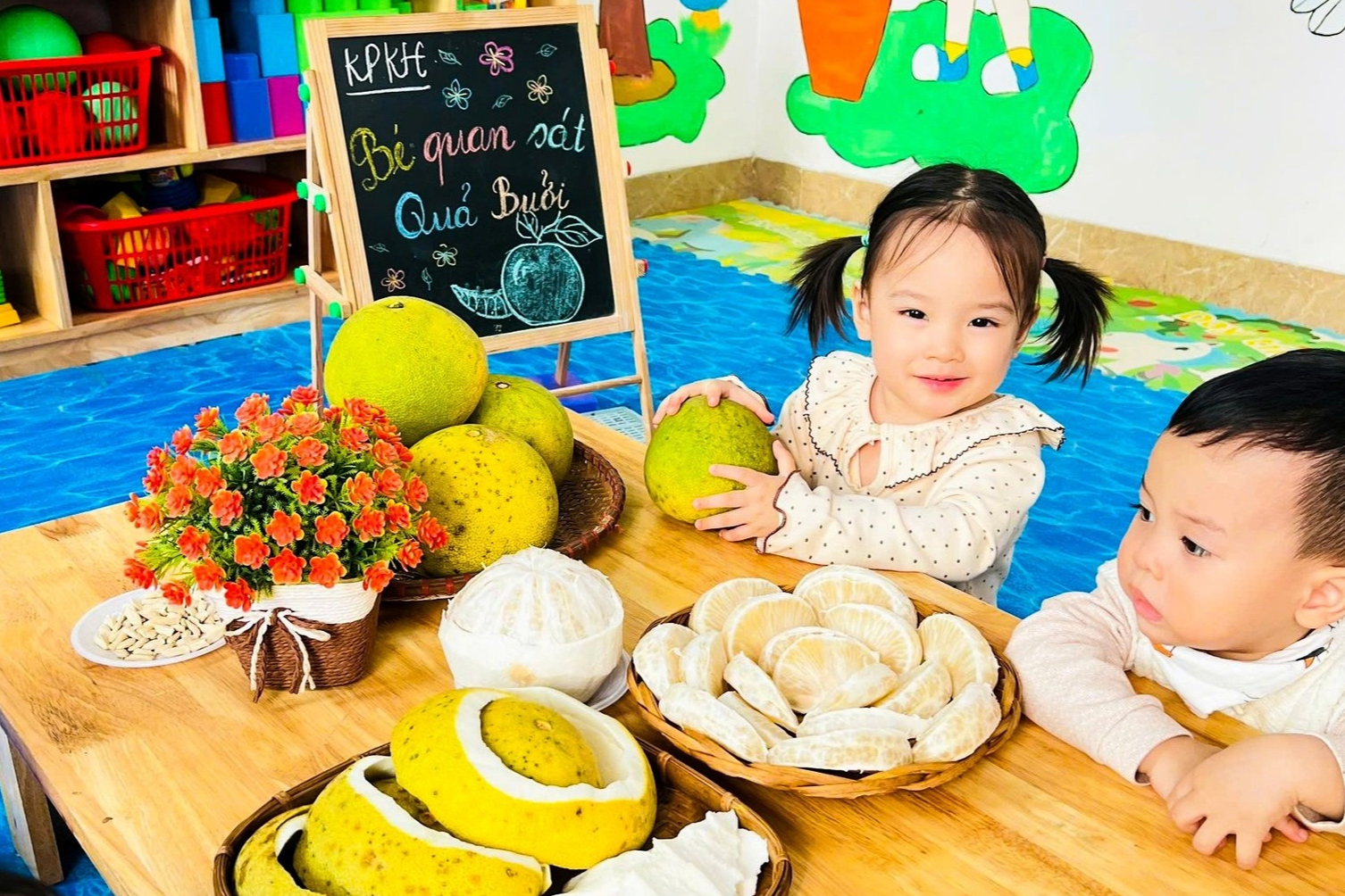 dich-vu-mua-ho-conmeobeo