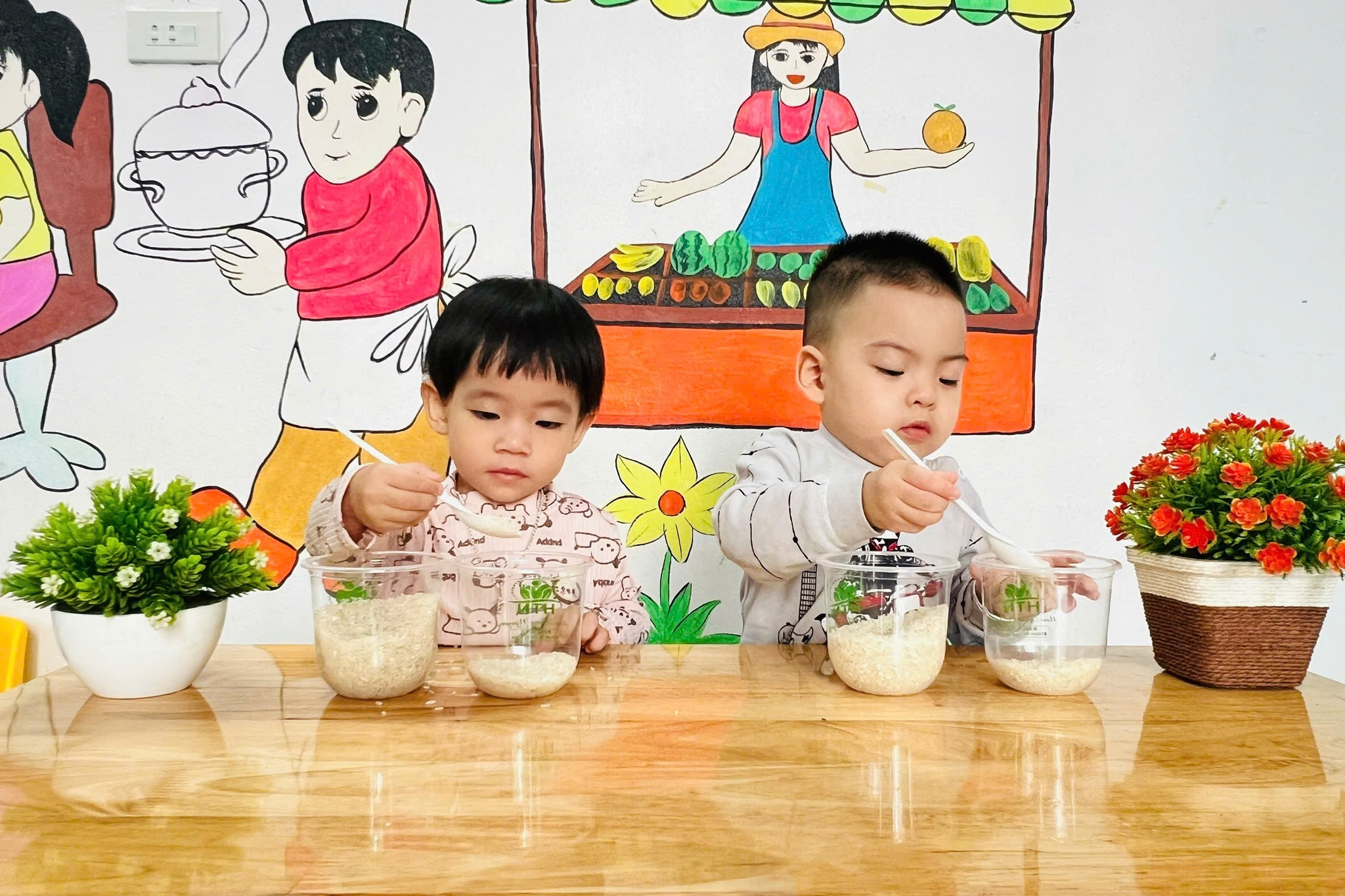 dich-vu-mua-ho-conmeobeo