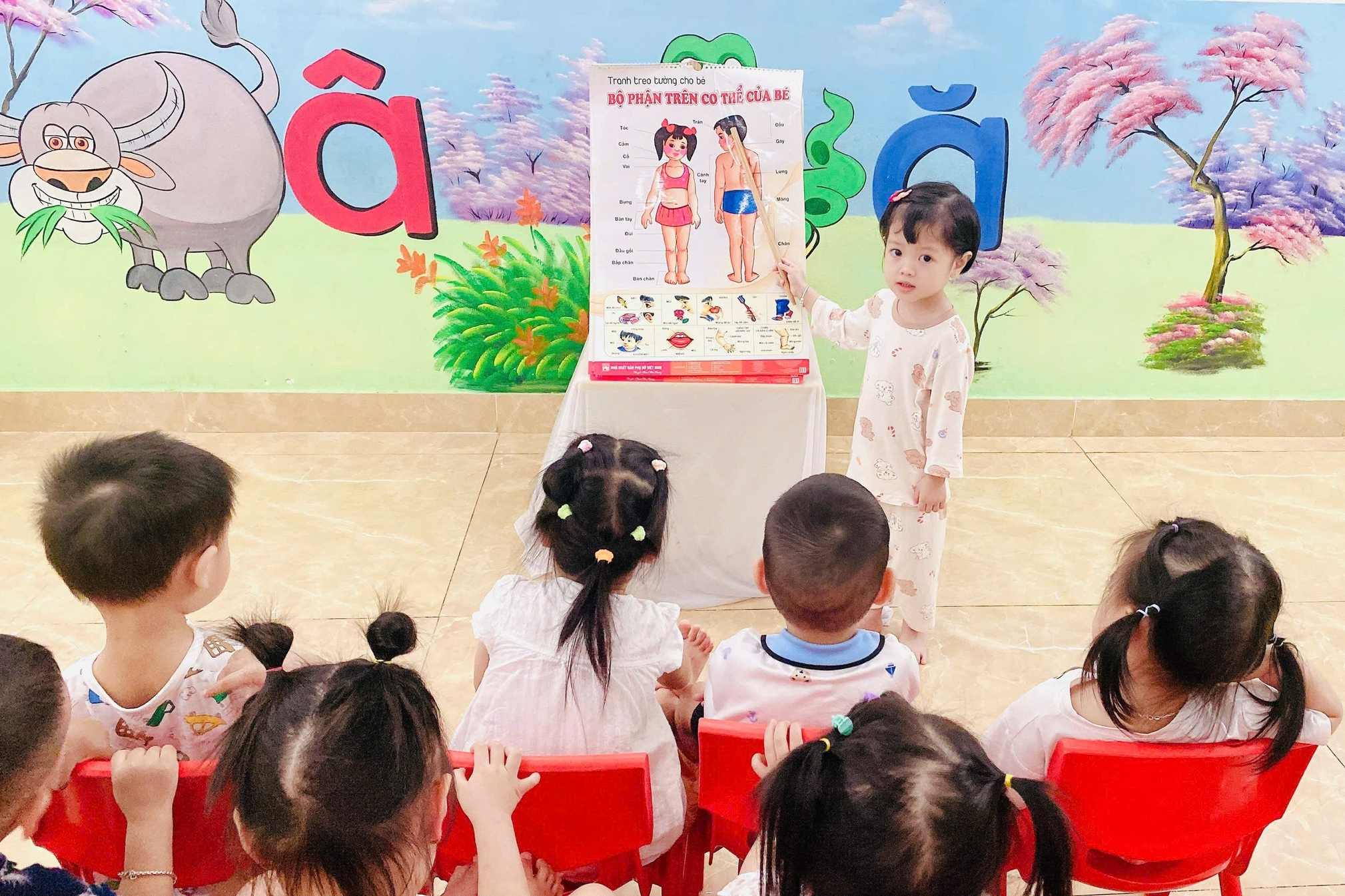 dich-vu-mua-ho-conmeobeo