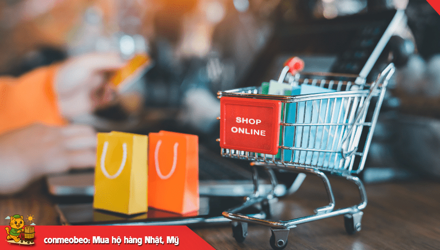 Giới thiệu Conmeobeo