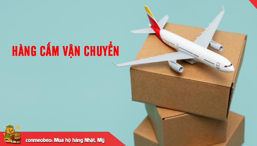 Các mặt hàng cấm vận chuyển